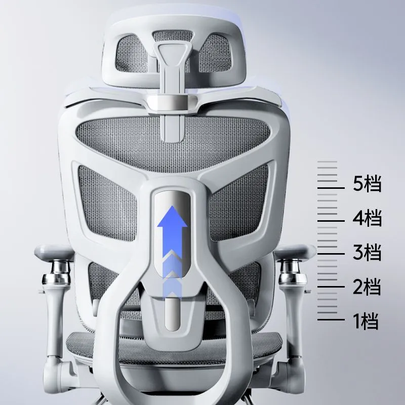 Kursi Komputer Ergonomis denga - Home Office Work ulasan dan harga